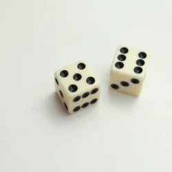 Ivory Dice Knobs , Set Of 2 - Sixx Gun Music
