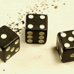 Dice Volume & Tone Control Knobs, split shaft, Set of 3, Black & White