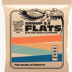 Ernie Ball Group 2.5 Stainless Steel Flatwound Electric Bass Strings 45-105 Gauge