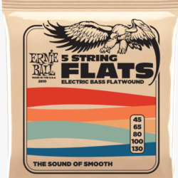 Ernie Ball 5-string Stainless Steel Flatwound Electric Bass Strings 45-130 Gauge