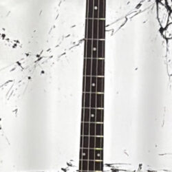 Epiphone Thunderbird Bass