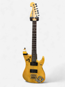 Washburn N2